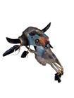 Real Hand Painted Cow Skull    Southwest Art   Hand Crafted   Eagle And Buffalo