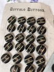 Lot  Vintage Glass Buttons On Original Cards -antique Buffalo Fh c  European