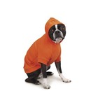 Zack And Zoey Basic Hoodie For Dogs 20in Large Vibrant Orange