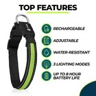 Balk Pets Led Dog Collar High Visibility Glow In The Dark Anti Car Accident Nigh