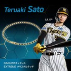 Phiten Rakuwa Necklace Extreme Crystal Touch Black Gray 50cm