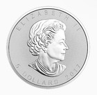 10- 2017 Canada Birds Of Prey Reverse Proof 1oz  9999 Silver Bald Eagle Sealed