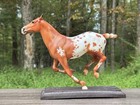 Breyer 2023 Collectors Club  santino Matte Chestnut Appaloosa
