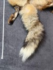 Authentic Montana Red Fox Pelt Fur Hide - 47    In Length  Zero Belly Seam  