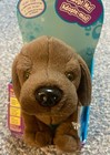 Ganz Webkinz Cocoa Lab Brand New In Original Box With Sealed Code Unused