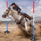 X-kingsun 6 Set Pole Bending Poles For Horses 6ft Adjustable Training Equipment