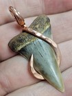 1 5 8  999 Copper Hooked Wrapped Extinct Great White Fossil Shark Tooth Necklace