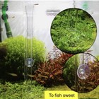Shrimp Feeding Tube And Dish clear Crystal Glass Shrimp Feeder Tube For Fish  S