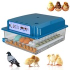 36 Egg Incubator With Auto-turning temperature Humidity Control Egg Hatcher Bule