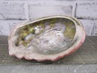 Vtg Red Abalone Haliotis Rufescens Shell Trinket Dish Ashtray Mother Of Pearl 7 