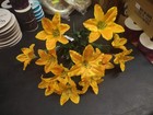 19  Silk Tiger Lily Bush Gold W 12 5  Blooms  Golden Autumn Yellow  Wired Stems