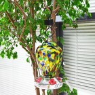 Hummingbird Feeder Ant Moat  Hummingbird And Oriole Feeder Hanging Ant Guard  Fe