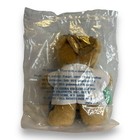 Vintage 1997avon Gift Collection Pastime Pals    gardening    Teddy Bear Nip