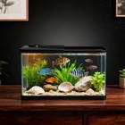 50l Aquarium Fish Tank Fully Enclosed Fish Tank Starter Kit With Led Lighting
