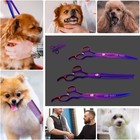 7 Professional Pet Grooming Titanium Scissors Curved Thinning Shears Purple