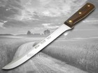 Case Xx Knives 9 Piece Kitchen Knife Set Walnut Wood Block Steel 10249