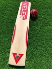 English Willow Cricket Bat Grade 1st Big Edge Full Size   Nature In India 
