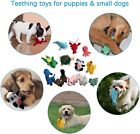 Squeaky Plush Dog Toy Pack For Puppy  Small   Medium Stuffed Puppy 12 Chew Toys