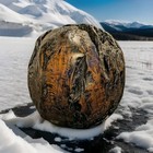 Very Big World Traveling Teakball Root  may Or May Not Be Cursed  One Of A Kind 