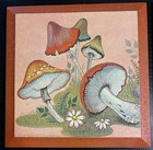 Vintage 1971 Mushroom Wall Plaques Set Of 4 Dac Ny - Retro 70s Cottagecore Decor