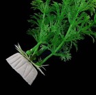  Artificial Aquarium Plants Fake Plastic Water Grass Fish Tank Plant Decor
