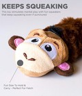 Petstages Stuffing-free Lil  Squeak Monkey Plush Dog Toy  Small