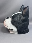 Boston Terrier Black And White Dog Puppy Head Coin Bank Glossy Eyes 5 