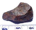 150 Grams Campo Del Cielo Iron Meteorite With A Certificate Of Authenticity