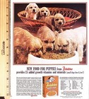 Friskies Puppy Food Vintage Magazine Ad Puppies Dogs Pets  Print 1963