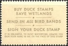 Us Scott Rw52 Cinnamon Teal Federal Duck Stamp Xf Mint Never Hinged 1985