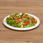 Karat Earth 9   Pfas Free Bagasse Round Plates - 500 Ct  Ke-bpr09-1cff