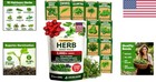 10 Herb Seeds Variety Pack Non-gmo Heirloom Culinary Seeds For Indoor Outdoor