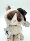 Gund Grumpy Cat In Black Hat With    no     Star Soft Plush Toy 6    Tag 4053796