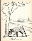 Antique Schnauzer Print 1930s Humorous Schnauzer Illustration Art By Zito 5968n