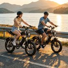 20   Fat Tire Electric Bike For Adults 2000w Peak 48v 25ah 35mph Mountain E-bike