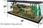 75-gallon   Smaller Glass Aquariums Small Pet   Reptile   Fish Tank - Pro Grade