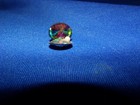 Vintage Tiny Miniature Oyster W  Pearl - Multi-colored Prism