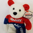 Salvino s Bammers Mlb Mark Mcgwire Bear Bean Plush Collectible