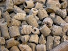 Crinoid Stem Fossils Bigger 1-3 Inch 1 Pound 10  Pcs Devonian Age Africa