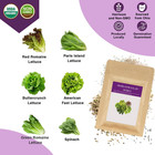 Salad Greens Seed Pod Kit For Aerogarden  Idoo  Ahopegarden  Mufga With Red gree
