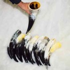 10 Horn Medieval Horn Viking Drinking Horn Authentic Medieval Beer Horn Tankard