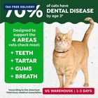 Greenies Feline Natural Dental Cat Treats  Roasted Chicken Flavor  21 Oz
