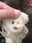 Vtg Cream Teddy Bear Plush Applause6  Fully Jointed 1980 s