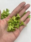 Clay Pakalana Clay Beads   Style 2  For Jewelry Making  Diy  Craft Supplies