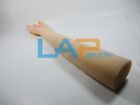 Long Arm Simulation Mannequin Silicone Tpe Arm Hand Mold For Men And Women 45cm