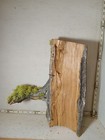 Taxidermy Base   Creative Carvers
