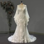 Beach Tulle Wedding Dresses Flared Long Sleeve Vintage Backless Lace Appliques