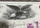 1883 Bank Of America Stock Certificate