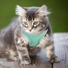 Cat Harness And Leash Escape Proof Kitten Harness And Leash Set For Walking
