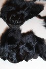 10 Fox Fur Face Pelt Hide Lot Leather Whitetail Deer Hunt Taxidermy Mountain Man